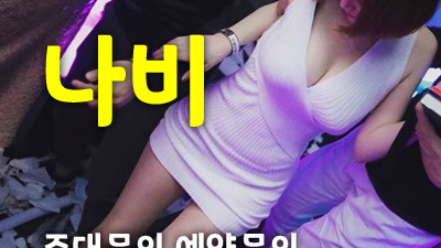 야당스카이돔나이트 핫한 이유를 알려주마